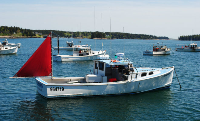 Lobstering on the Downeast coast of Maine.