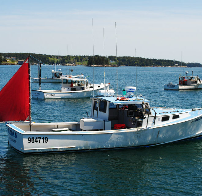 Lobstering on the Downeast coast of Maine.