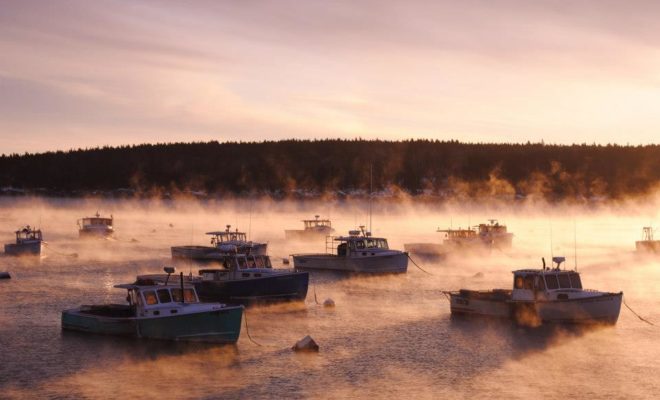 Sea smoke races across Penobscot Bay.