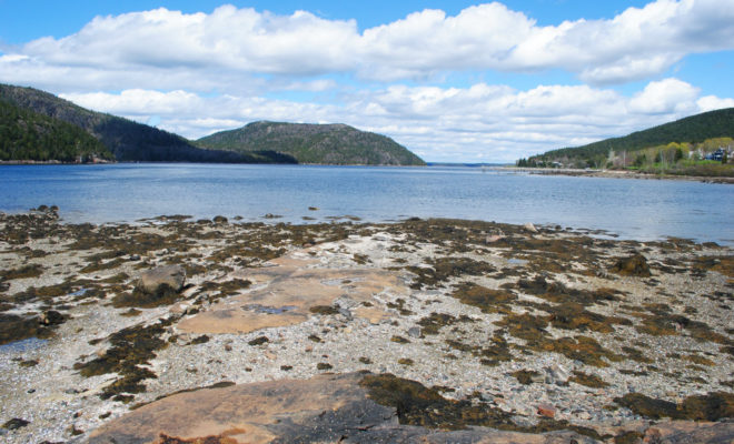 The splendor of Somes Sound in spring.