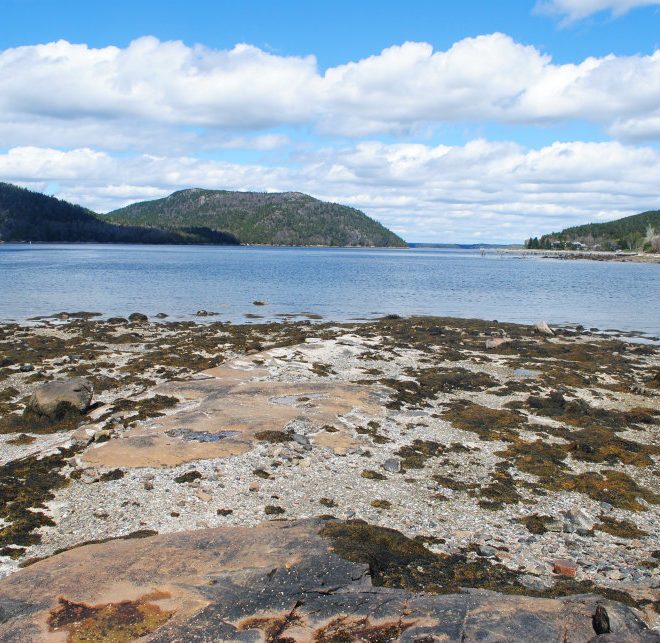 The splendor of Somes Sound in spring.