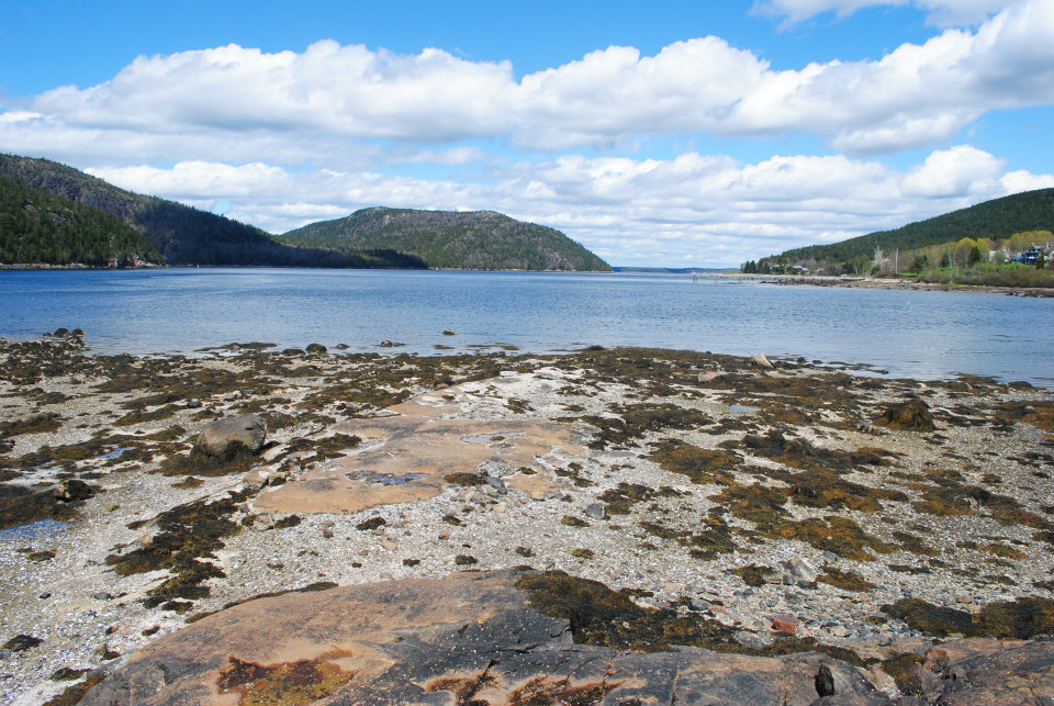 The splendor of Somes Sound in spring.