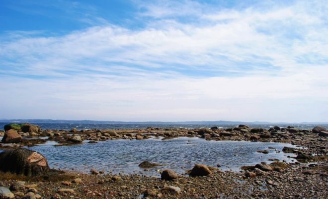 Tide Chart For Searsport Maine