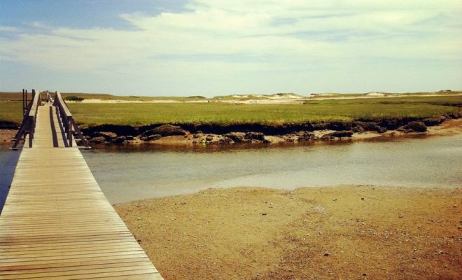 The boardwalk across Mill Creek is something no visitor to Sandwich should miss.