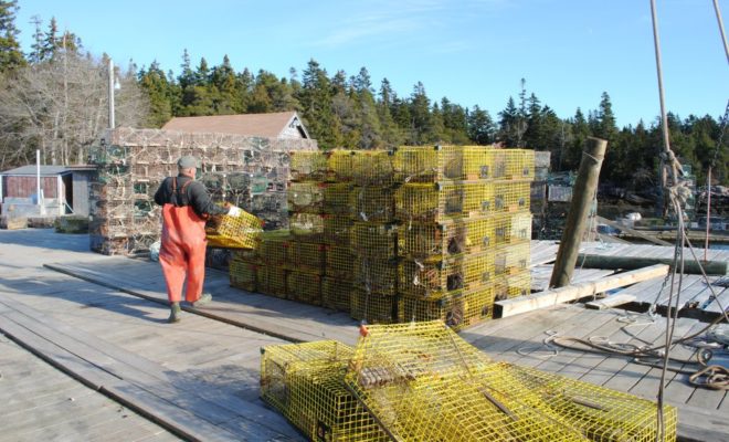 Traps stacked and ready in Bunkers Harbor, on the west side of Prospect Harbor. Photo by Alex Plummer/USHarbors.com.