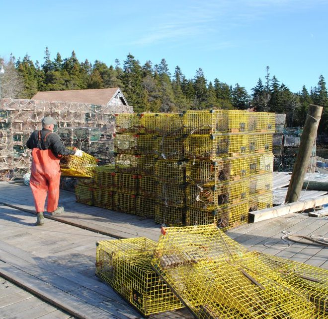 Traps stacked and ready in Bunkers Harbor, on the west side of Prospect Harbor. Photo by Alex Plummer/USHarbors.com.