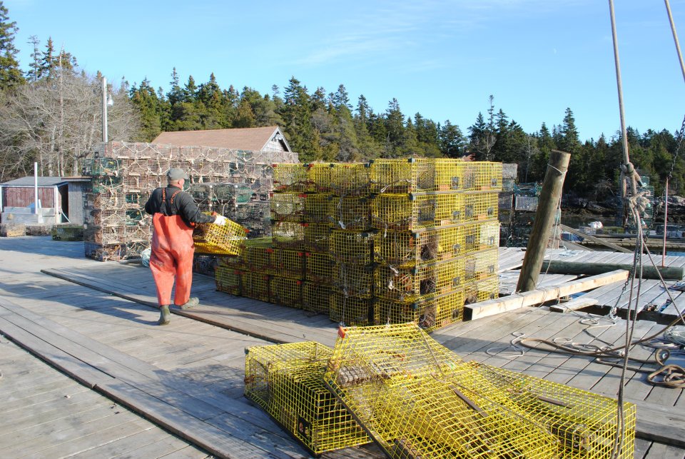 Traps stacked and ready in Bunkers Harbor, on the west side of Prospect Harbor. Photo by Alex Plummer/USHarbors.com.