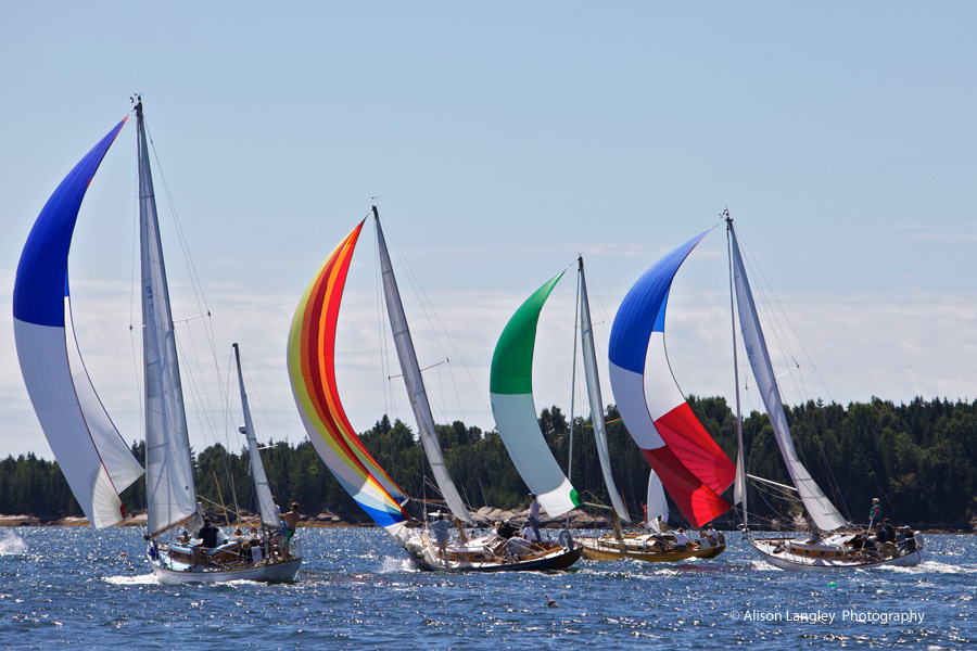 Eggemoggin Reach Regatta. Photo by Alison Langley
