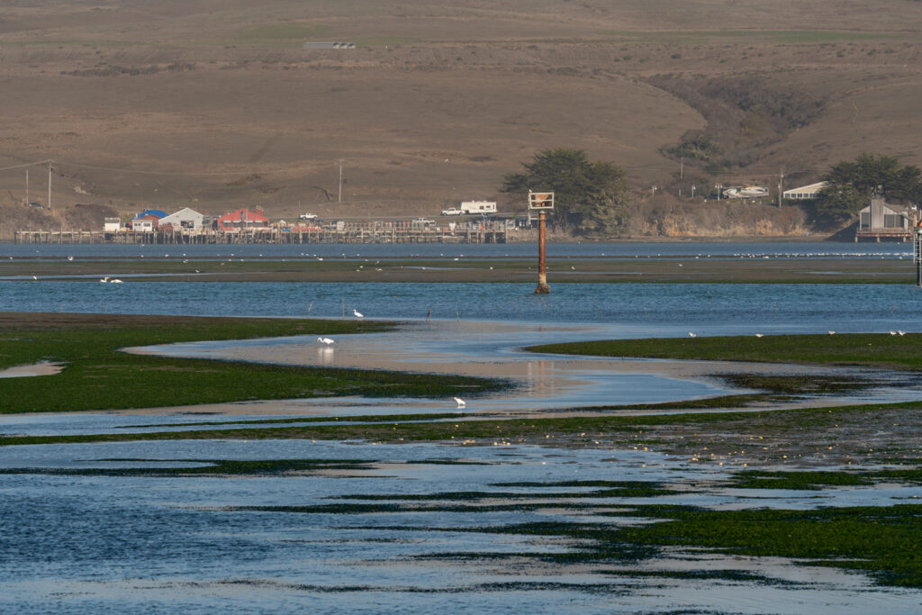 Bodega Bay, CA Weather, Tides, and Visitor Guide US Harbors