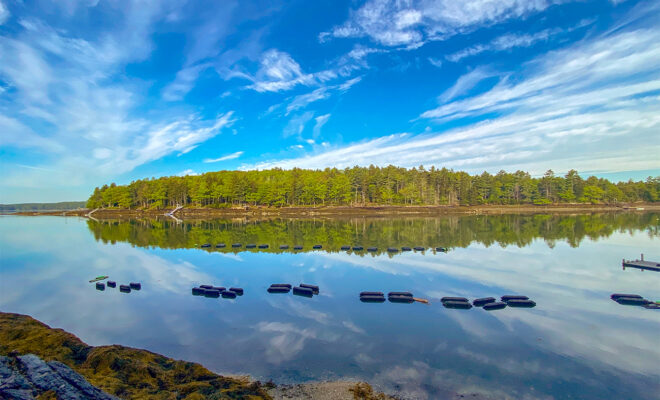 Oyster farm on the New Meadows River Maine, reflection of the trees and clouds in calm water