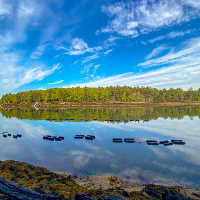 Oyster farm on the New Meadows River Maine, reflection of the trees and clouds in calm water