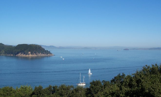 San Pablo Bay & Sacramento River, California - By Kevin Collins - Flickr: San Pablo Bay, CC BY 2.0, https://commons.wikimedia.org/w/index.php?curid=19920621