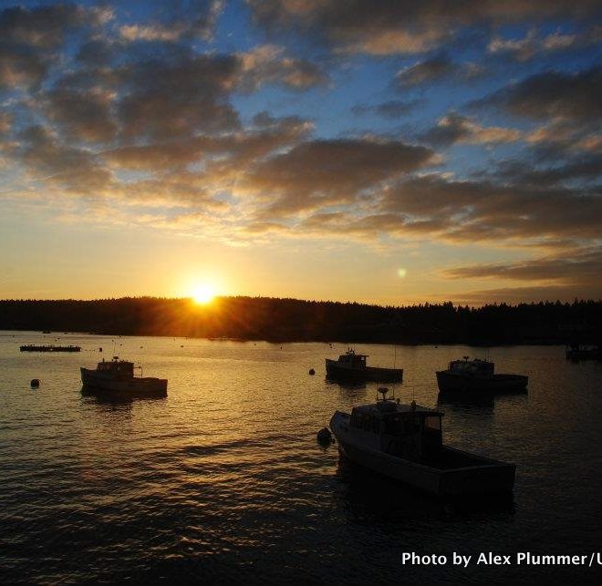 A late January sunset unfolds over Port Clyde Harbor and Muscongus Bay.