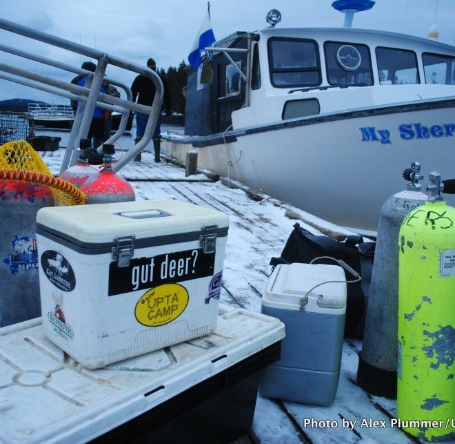 A scallop diver is all geared up and ready to go to work in Winter Harbor, Maine.