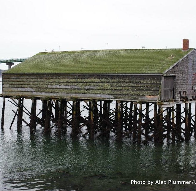 An old sardine shack stands in front of the bridge to Campobello Island in Lubec.