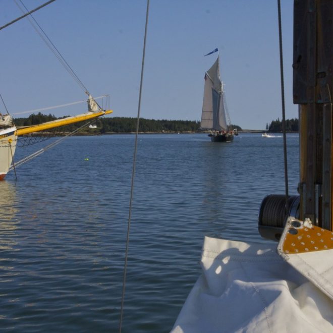 The schooner Nathaniel Bowditch sails into Burnt Coat Harbor. Schooner American Eagle is at left.