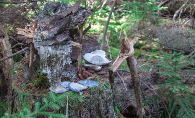 The elements of Buckle Island are shells, tree bark and wood, conifer needles and cones, moss, etc.