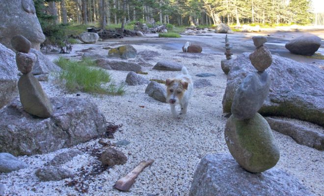 Have you walked amongst the Cairns of Hell's Half Acre?