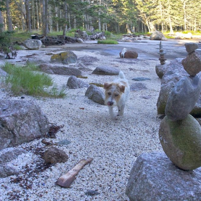 Have you walked amongst the Cairns of Hell's Half Acre?