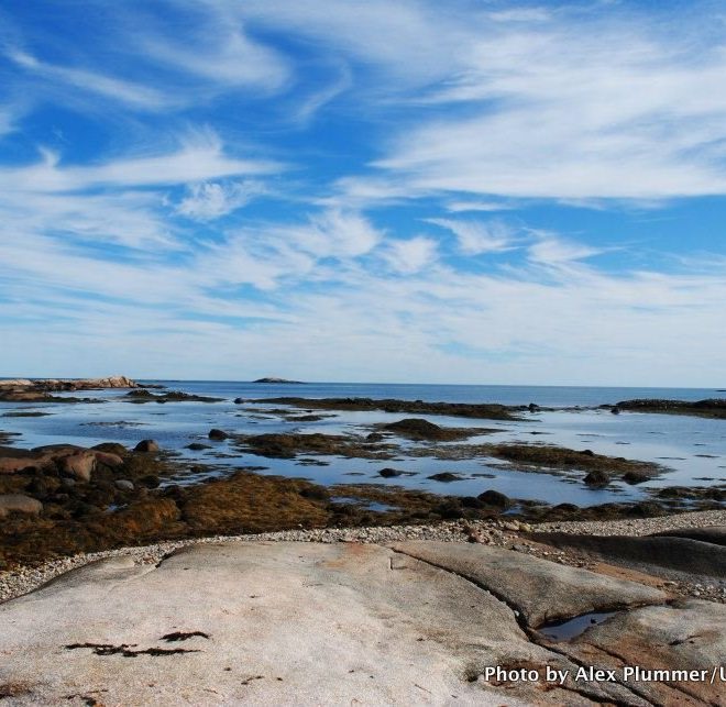 Cape Point, Great Wass Island.