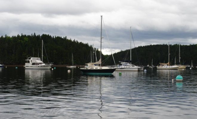 Under stormy skies in Bucks Harbor.