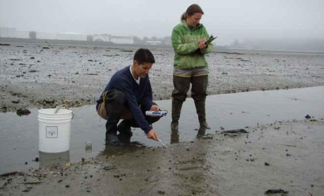 Testing the Clam Flats