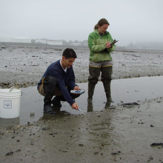 Testing the Clam Flats