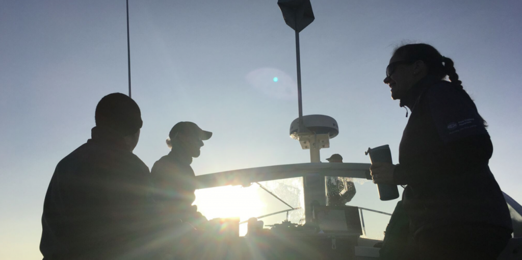 Right whale researchers heading out for the day