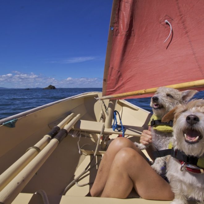 Why are these dogs smiling? They're sailing in a Joel White Nutshell Pram.