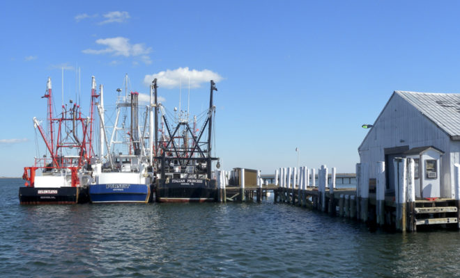 Working waterfront in Seaford, VA, documented during the 2012 working waterfront inventory. ©VASG