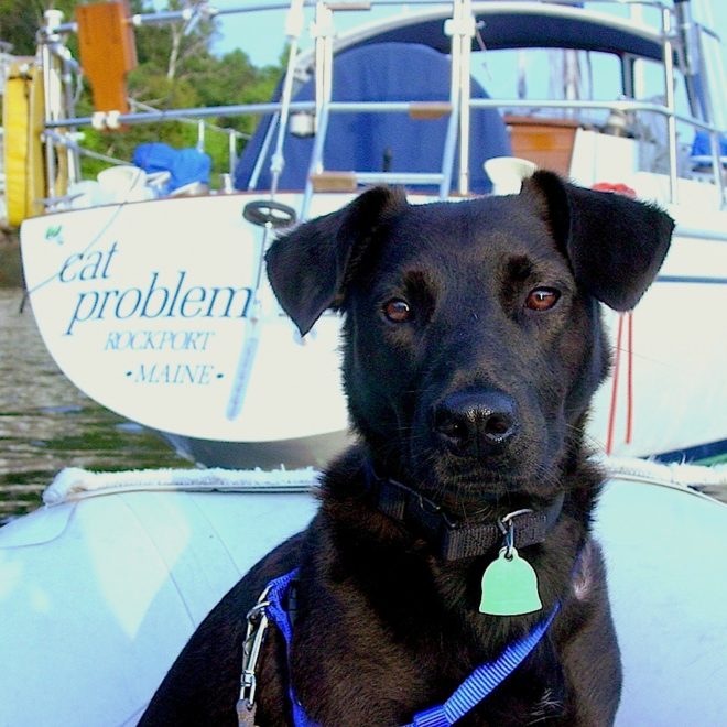 If every dog has her day, every boatyard dog like Duff has a shot at winning the Boatyard Dog Trials in Rockland every summer.