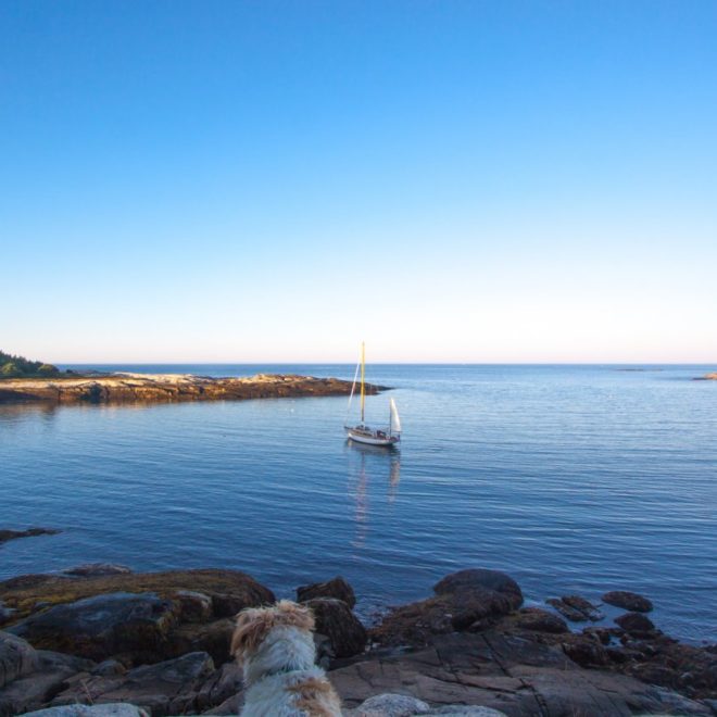 Anchored overnight in Eden, on Isle Au Haut.