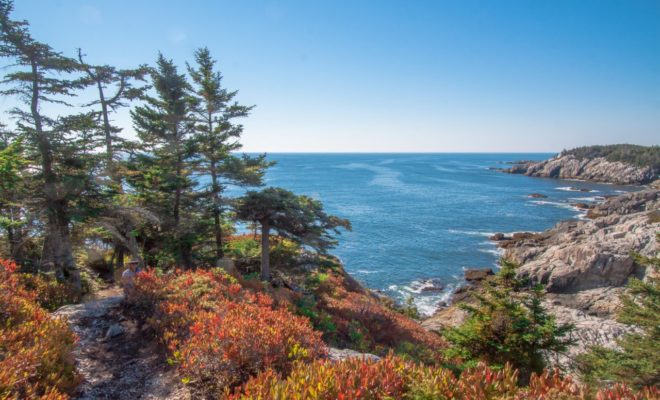 A 'typical' view while on the Acadia National Park trails, on Isle Au Haut.