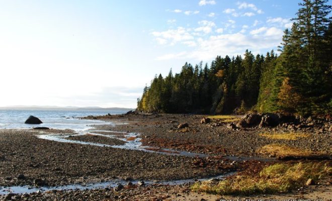 Orr Cove, on the west side of Cape Rosier, with the Camden Hills in the distance.