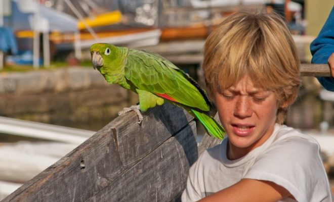 Young and old find fun at the WoodenBoat Show.