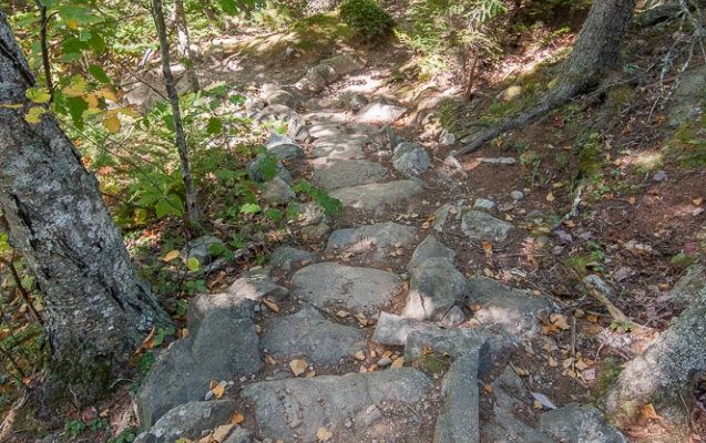 Stone steps in Camden Hills State Park.
