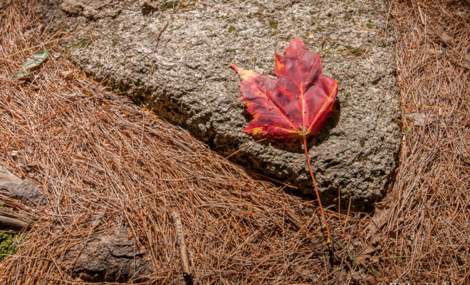 Signs that the season is changing. Winter will be here before we know it!