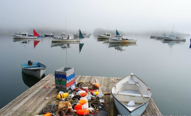 Foggy morning in Burnt Coat Harbor