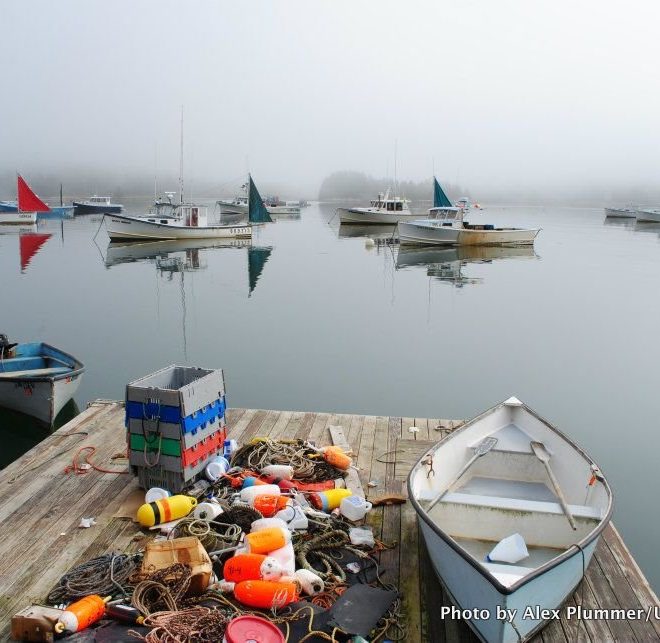 Foggy morning in Burnt Coat Harbor