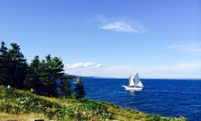 Watching the afternoon drift by on Curtis Island.