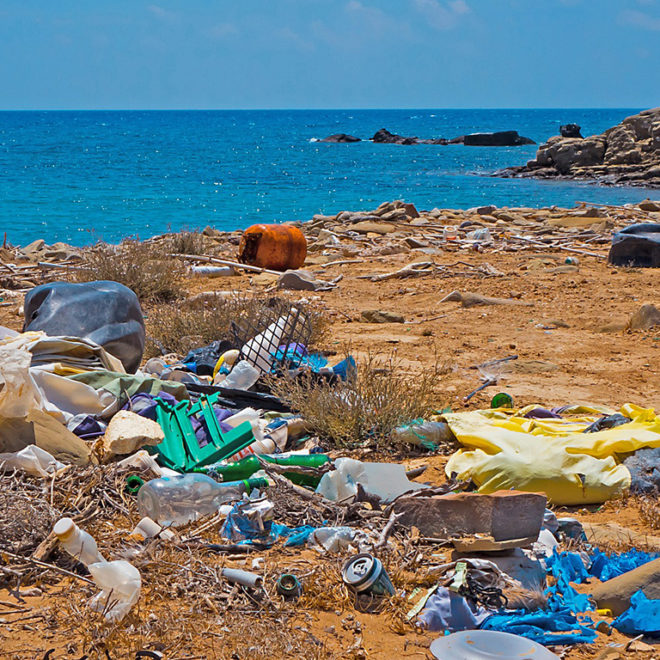How you can make a difference along the coast