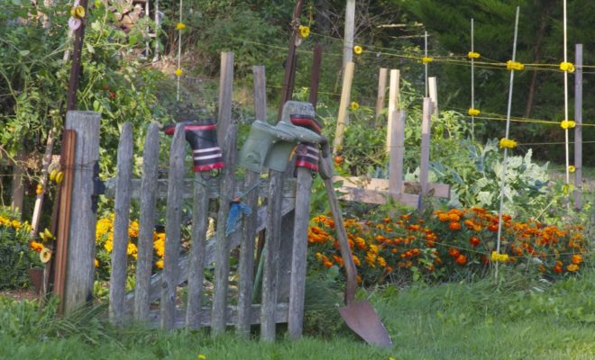 Boots dry on a vegetable garden gate at Foggy Meadows Farm.