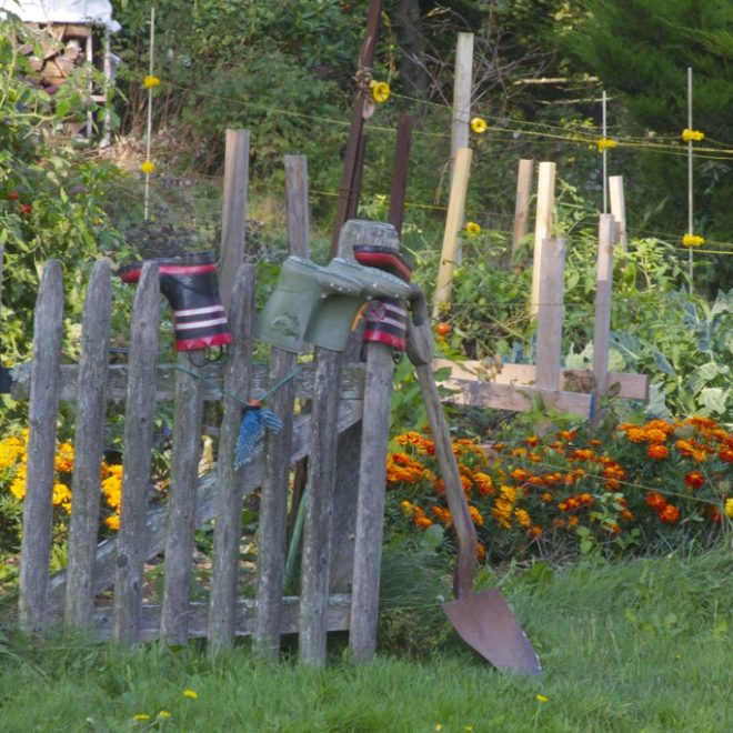 Boots dry on a vegetable garden gate at Foggy Meadows Farm.