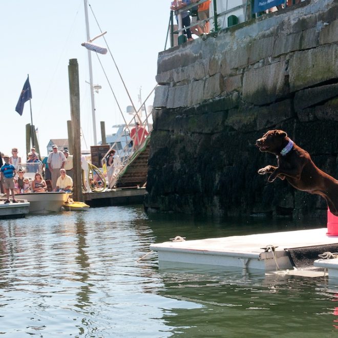 Gatsby: sights set on the "Pup Cup."