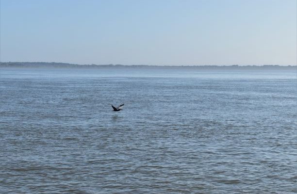 St. Marys River.