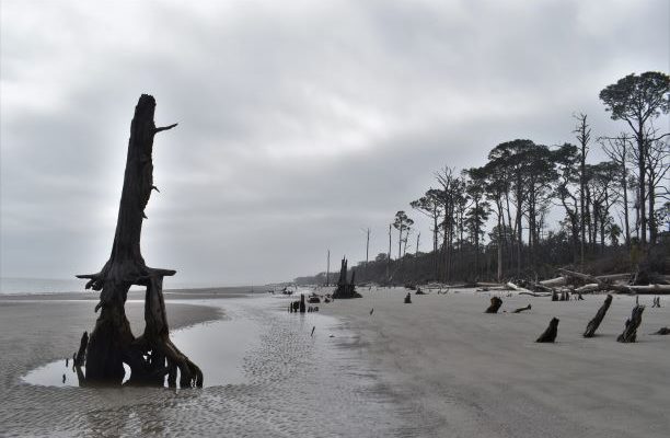 Jekyll Island.