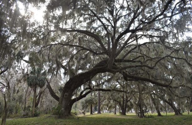 St. Simons Island.