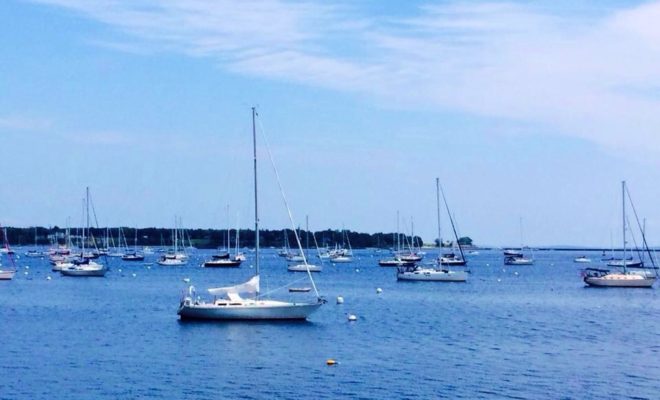 Rockland Harbor, showing off her many visitors.