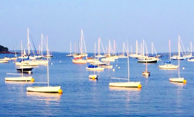 High season in Camden Harbor, on Penobscot Bay.