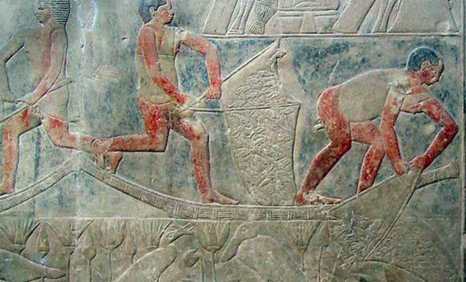 Fishermen collecting their day‚Äôs catch, Merekuba's Tomb, Saqqara, Egypt